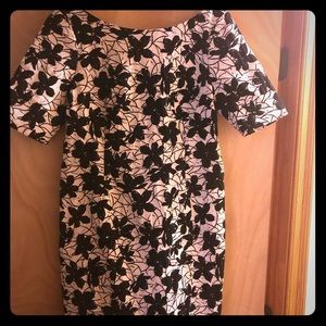 Calvin Klein Women’s Shift Dress